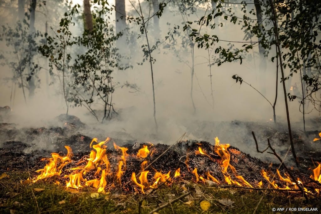 Natuurbrand Noord-Limburg niet voor dinsdagochtend geblust
