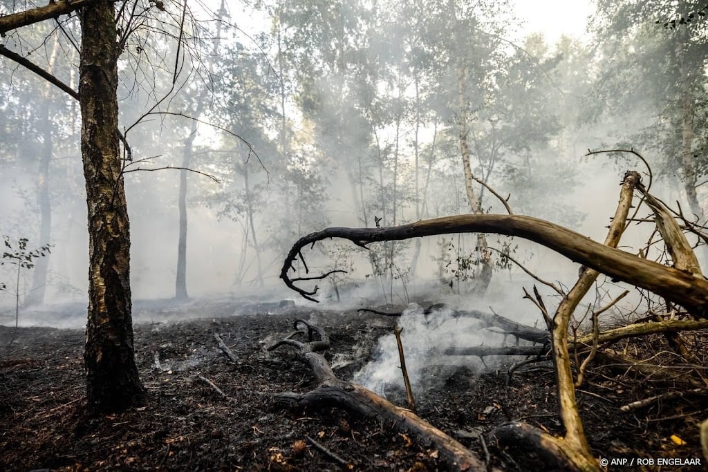Natuurbrand bij Venray stabiel, nog niet onder controle