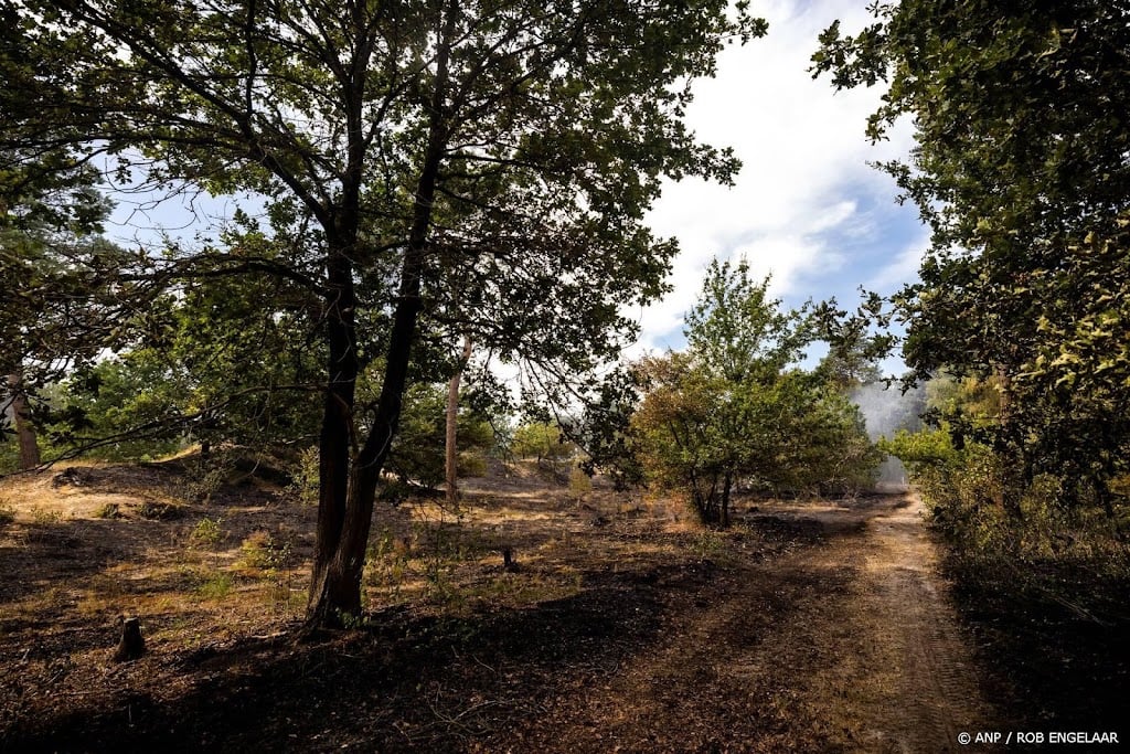 Natuurbrand Limburg breidt zich momenteel niet verder uit