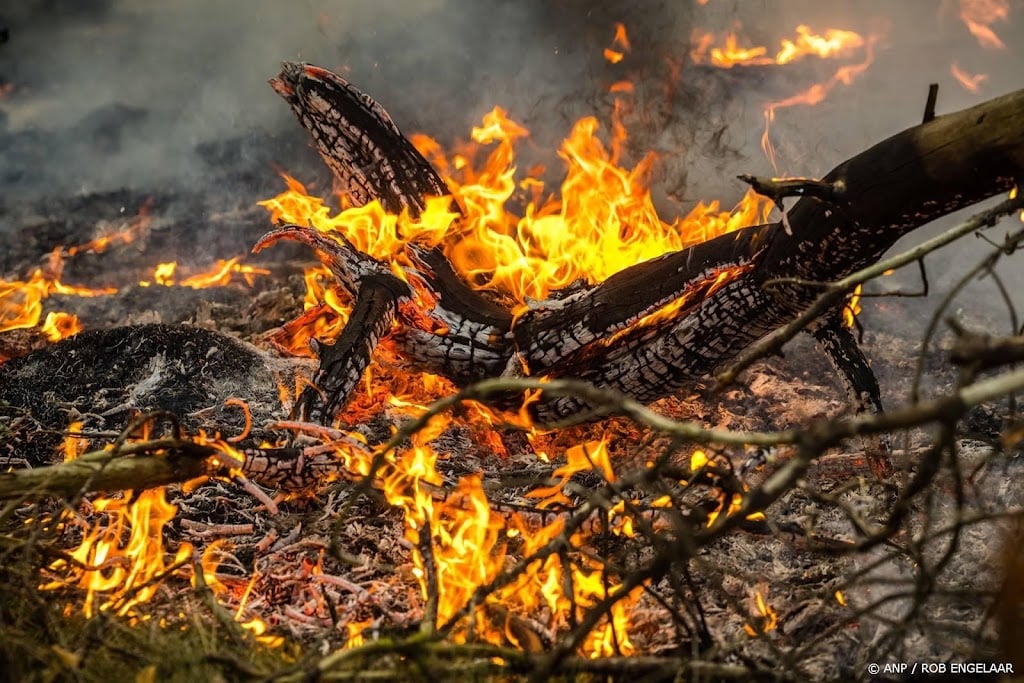 Natuurbrand bij Bergeijk in Noord-Brabant