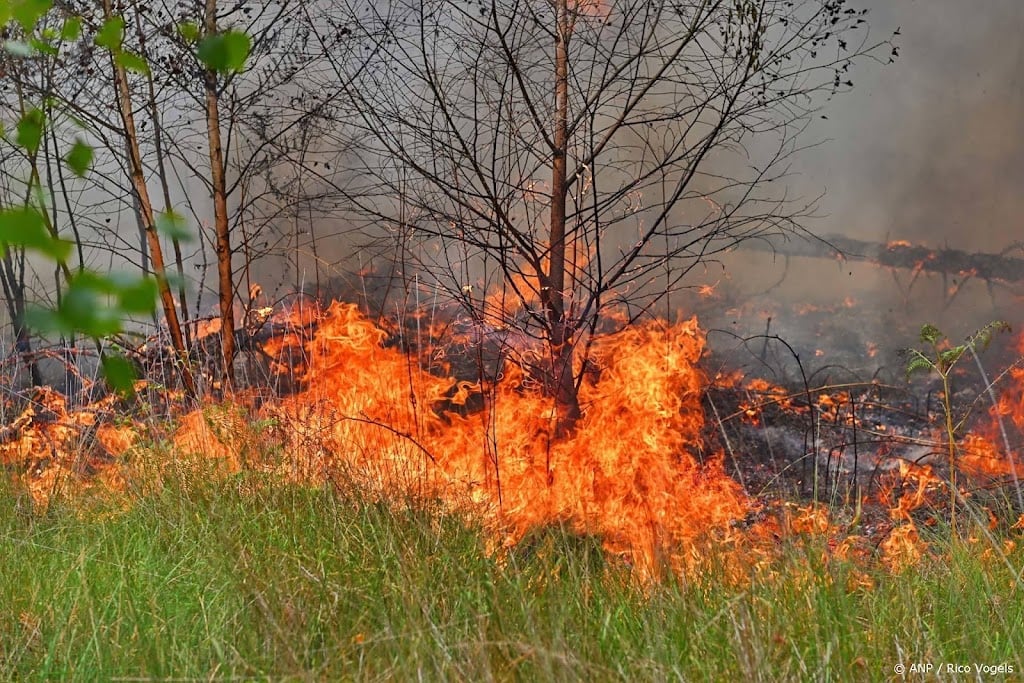 Natuurbrand in Bergeijk in Noord-Brabant onder controle