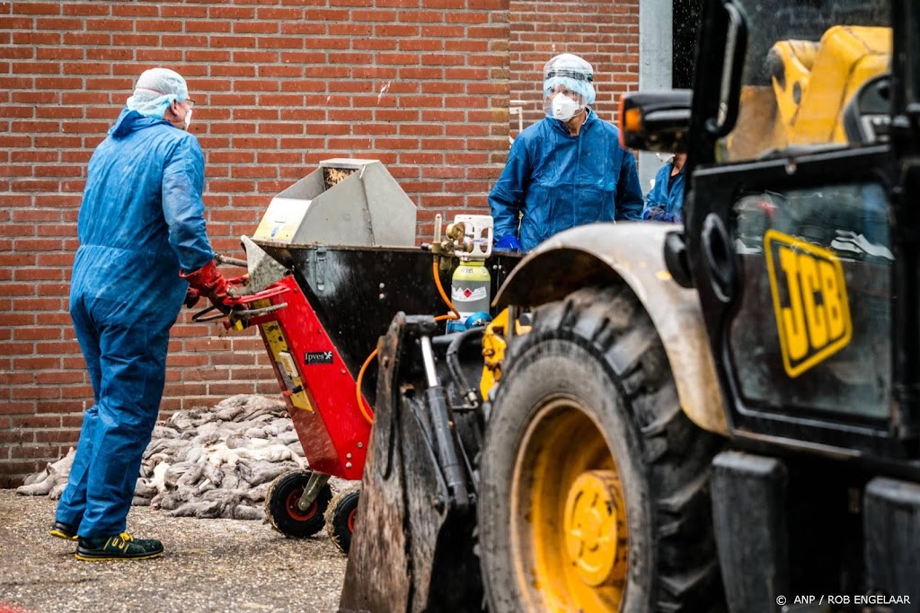 Petitie tegen miljoenen voor nertsenfokkers al 6000 keer getekend