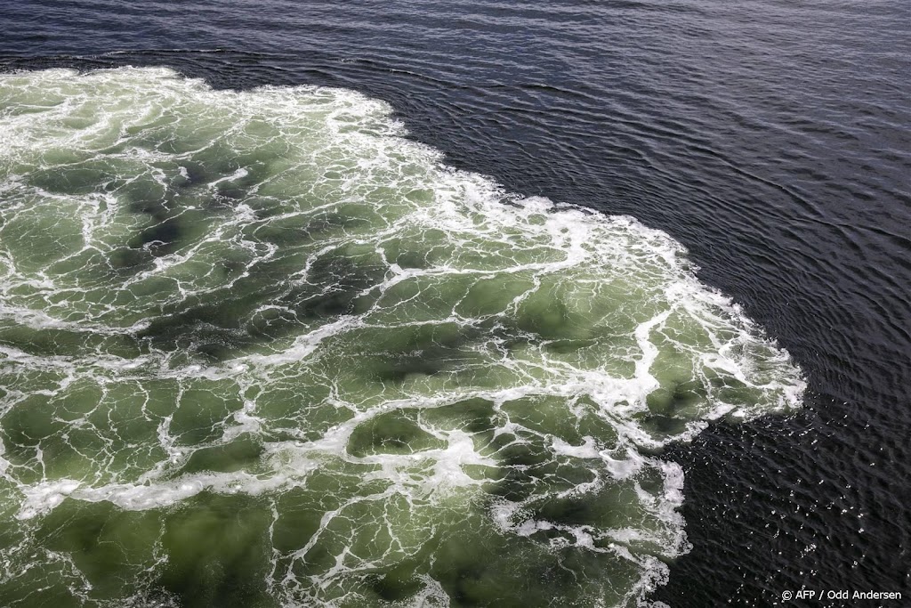 Aanbieder scheepsreizen naar Noorwegen definitief failliet