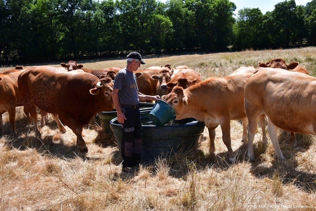 Frankrijk trekt ruim 1 miljard euro uit voor getroffen boeren