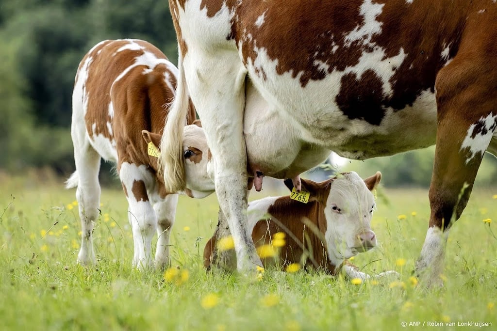 Demonstratie op Dierendag voor dierenwelzijn in veehouderij