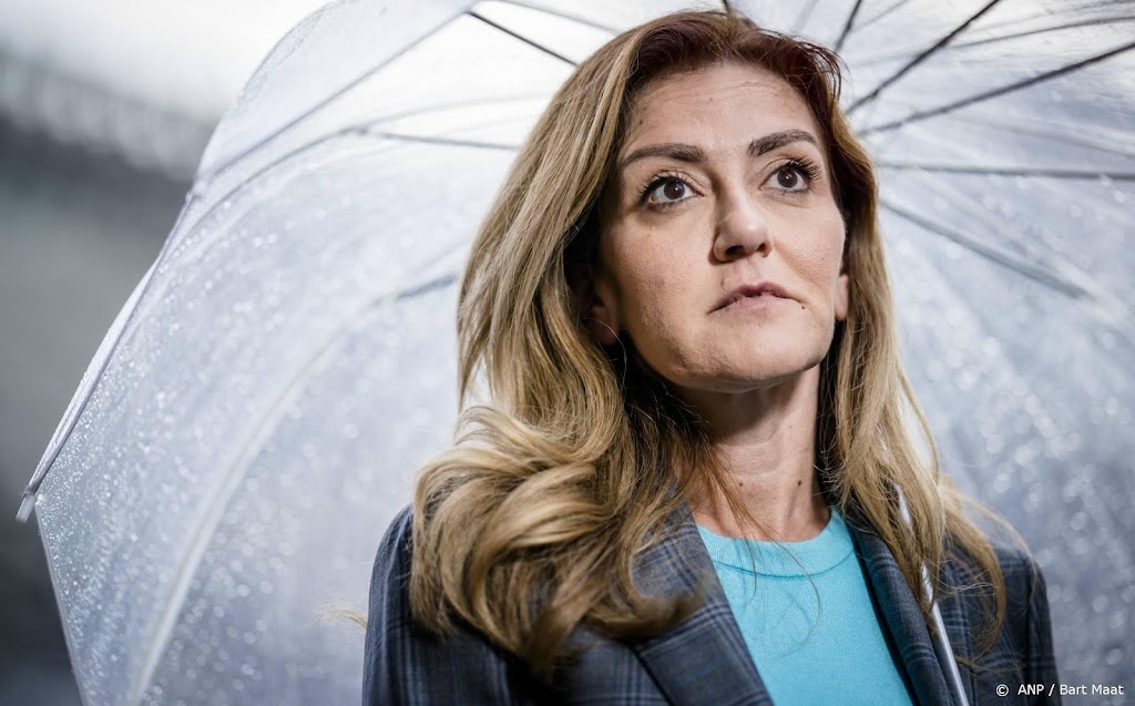 Yeşilgöz wil ook kroongetuigenregeling voor 'kleinere vissen'  