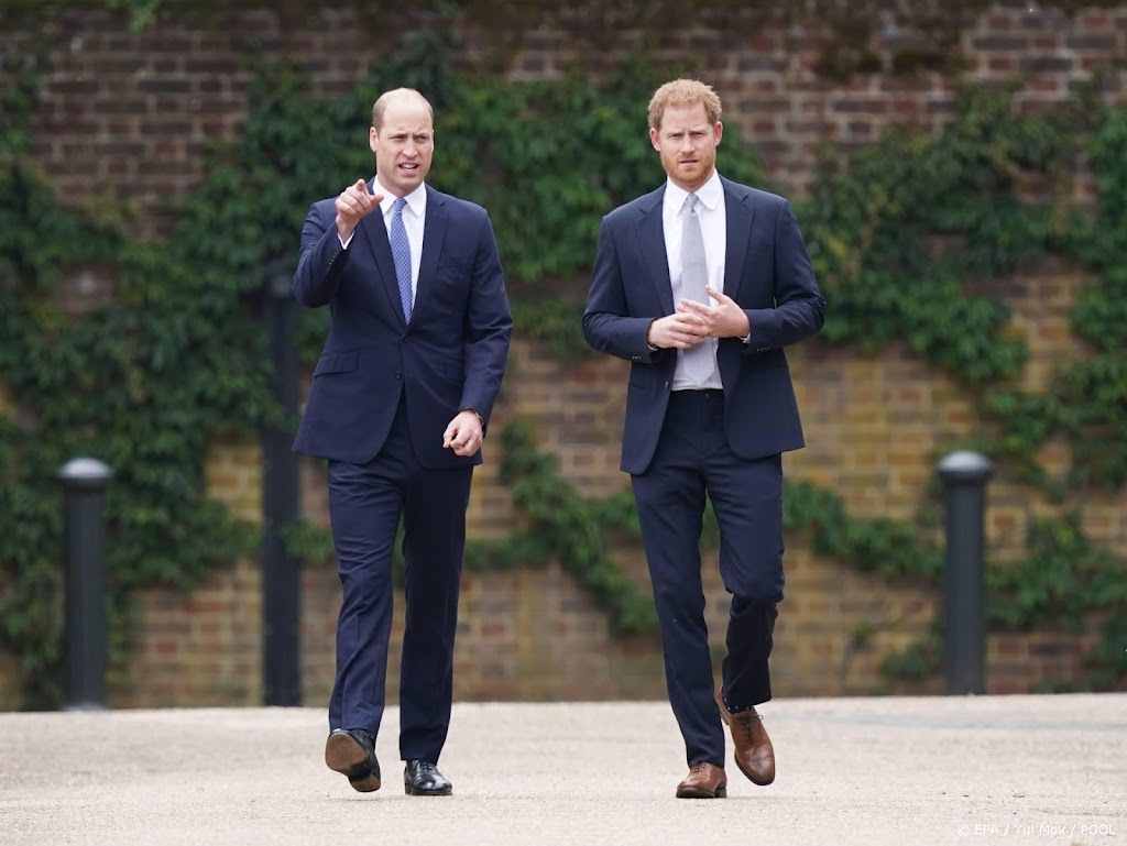 Prins Harry in boek: William viel mij fysiek aan
