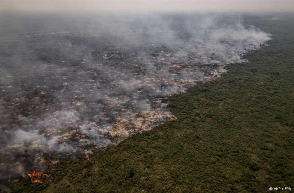 Ontbossing in Braziliaans Amazonegebied gehalveerd in 2023