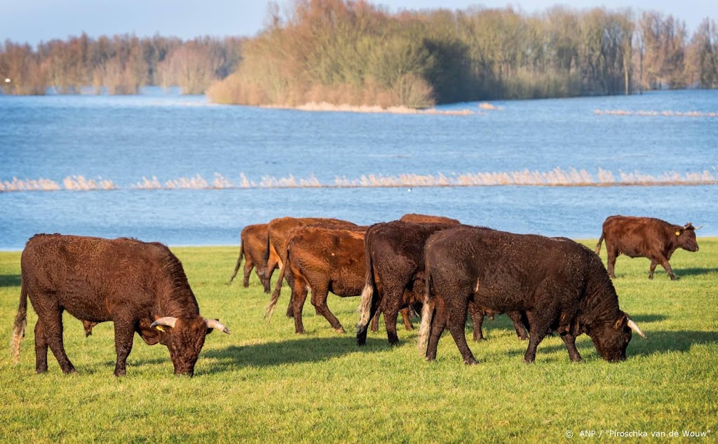 Daling waterstanden Maas in Limburg verwacht