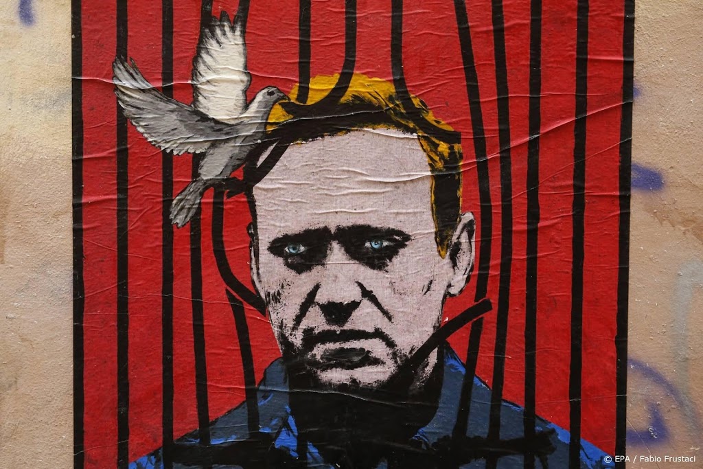 Navalni voor de rechter in smaadzaak over beledigen veteraan