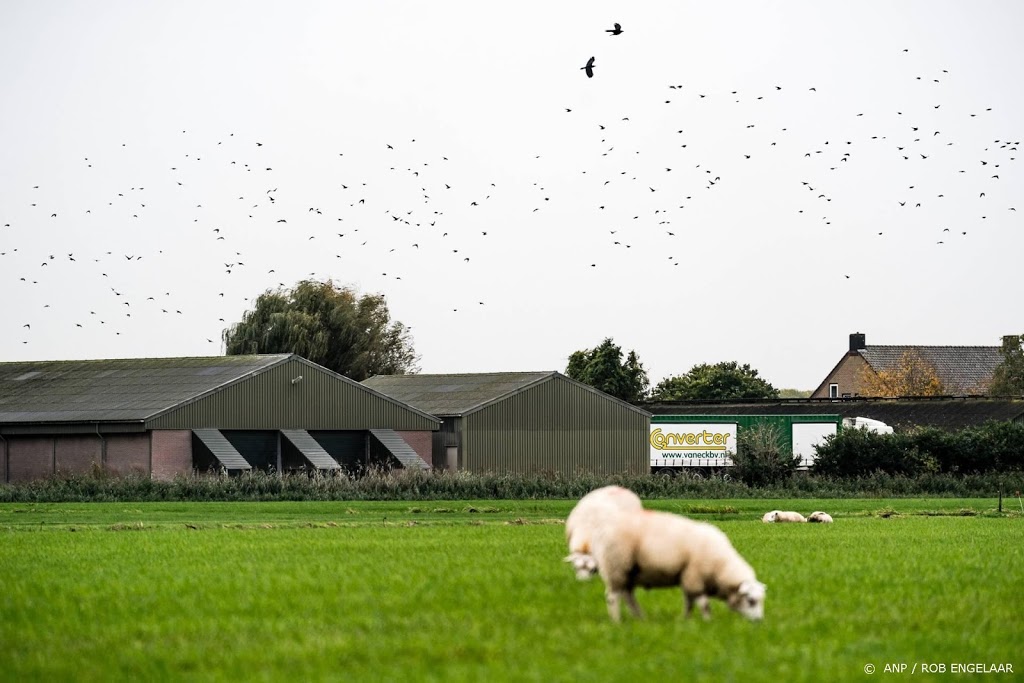 LTO: meer ruimte voor landbouw, landwinning een optie