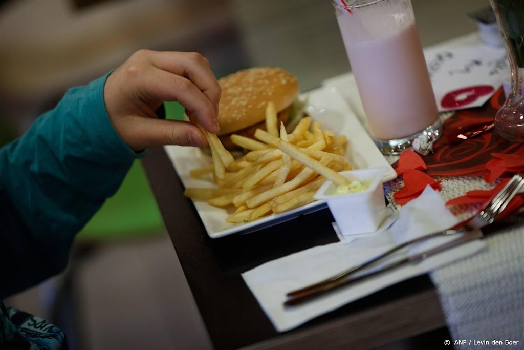 Den Haag wil groei fastfoodzaken in winkelgebieden tegenhouden