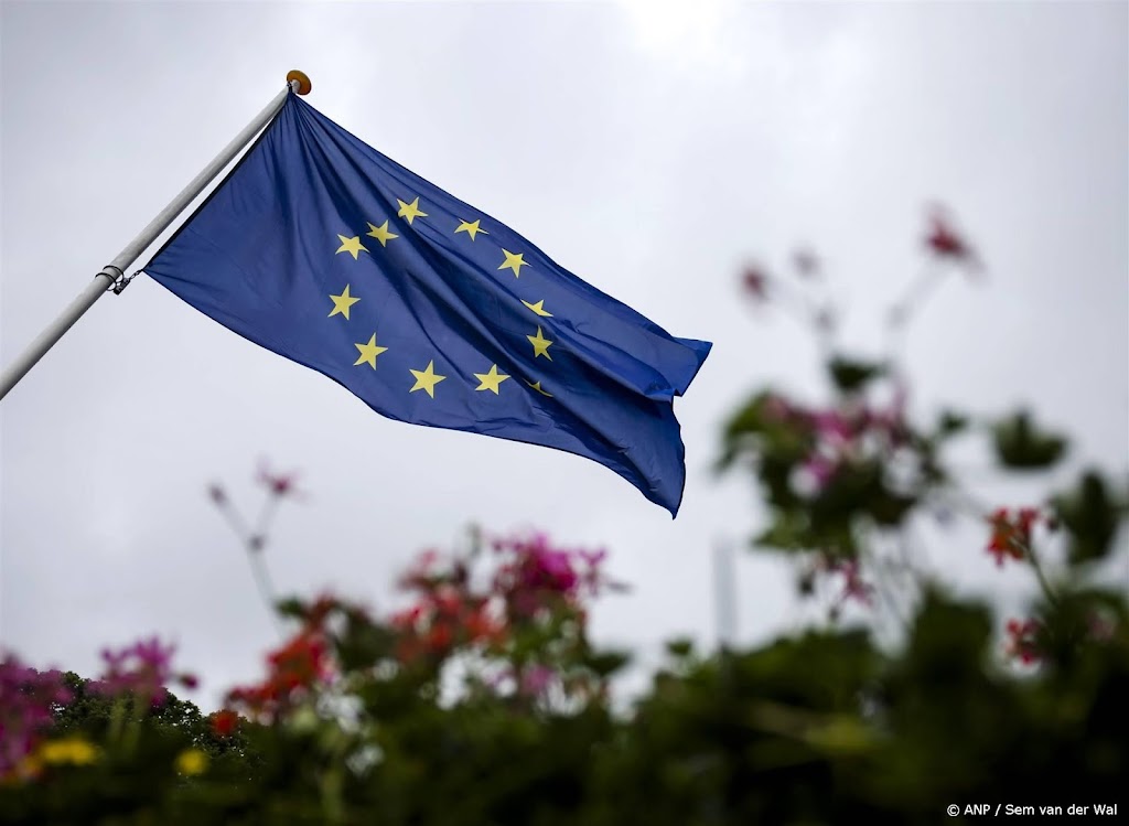 Desinformatie neemt toe in aanloop Europese verkiezingen