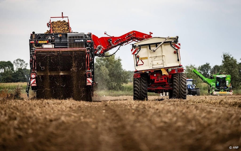 Nederlandse boeren ontvangen minder geld voor hun producten