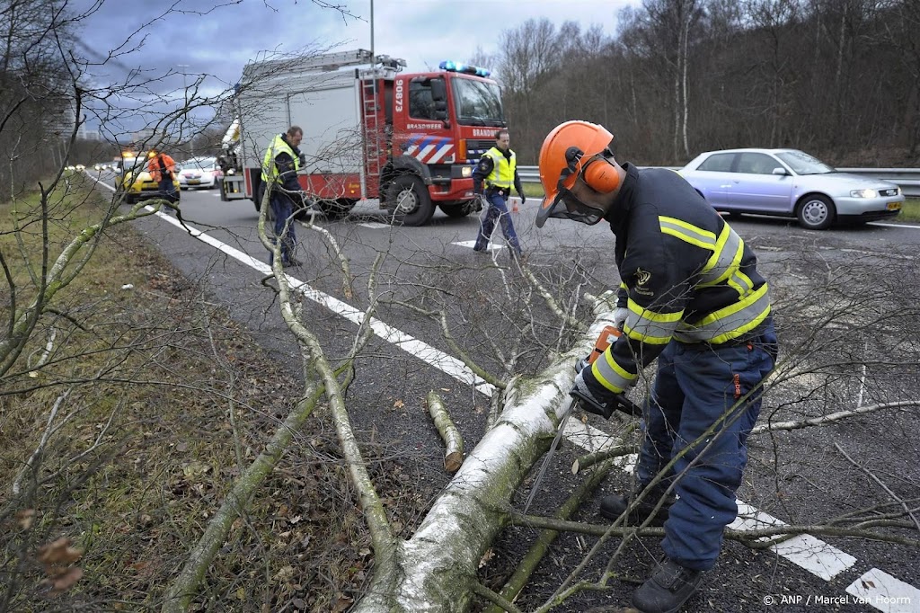 Verschillende snelwegen dicht door omgewaaide bomen