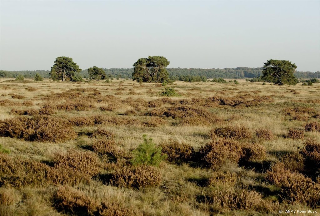 Hoge Veluwe gesloten om storm