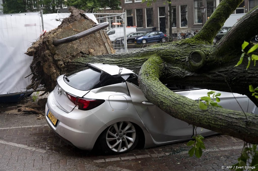 Amsterdam telde tot nu toe zo'n honderd omgewaaide bomen
