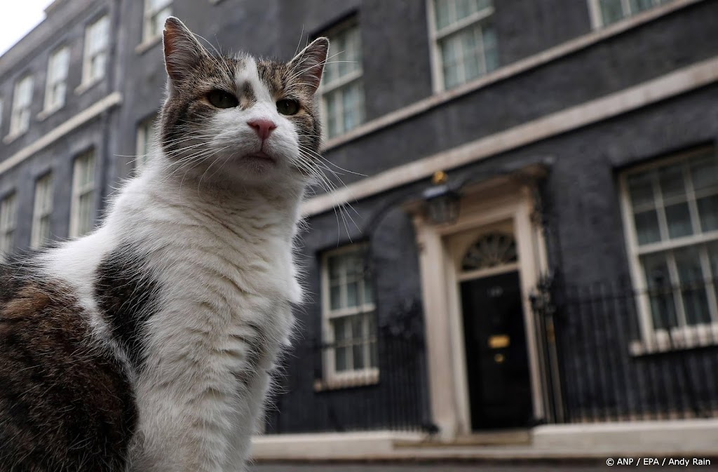 Hoofd-muizenvanger van Downing Street 10 klaar voor zesde premier