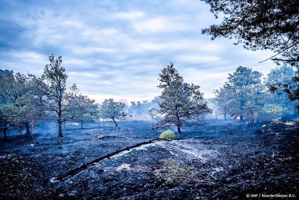 Ook woensdag nog geen treinen bij Venray door grote natuurbrand