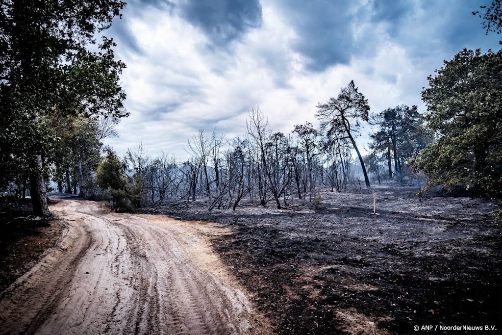 Belgische hulp en sproeisystemen bij bestrijden brand Limburg