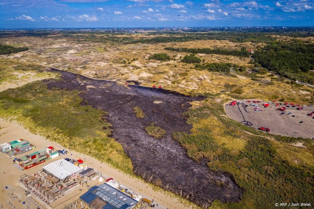 Brandweer: brand in duinen Wassenaar onder controle