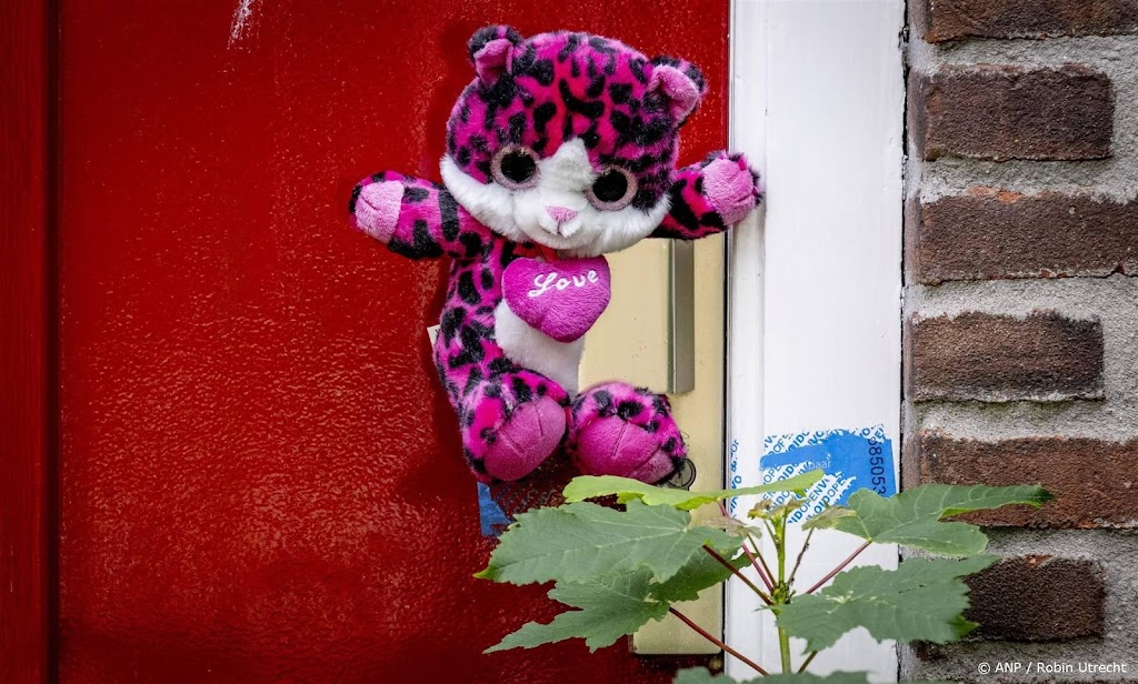Pleegouders Vlaardingen mishandelden mogelijk meer kinderen