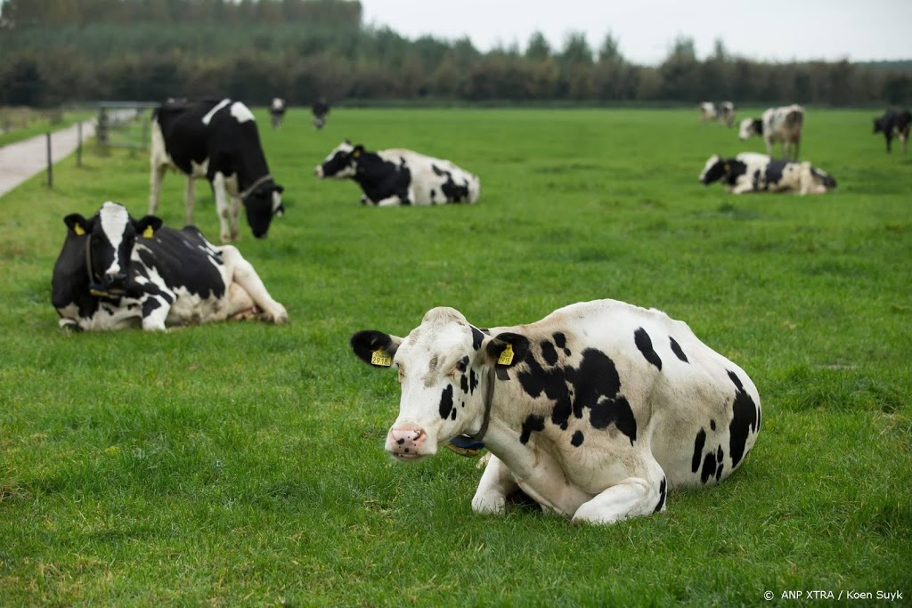 Honderd boeren beboet voor fraude met registratie koeien
