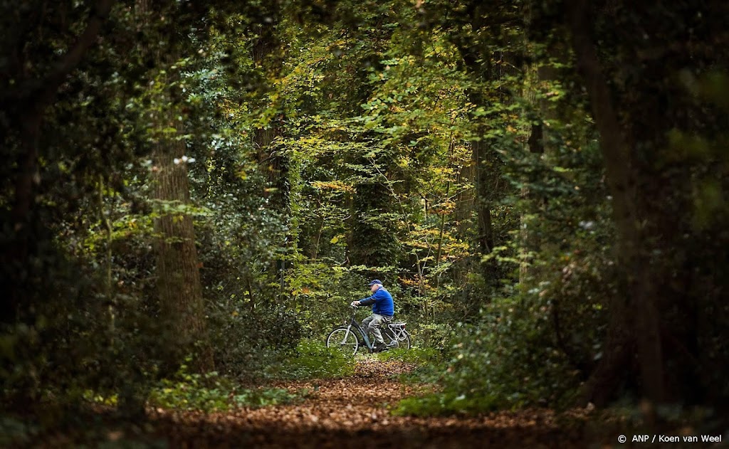 Zacht weer dit weekend: tot 12 graden