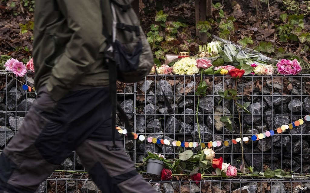 Verdachte van dodelijke steekpartij Den Dolder blijft langer vast