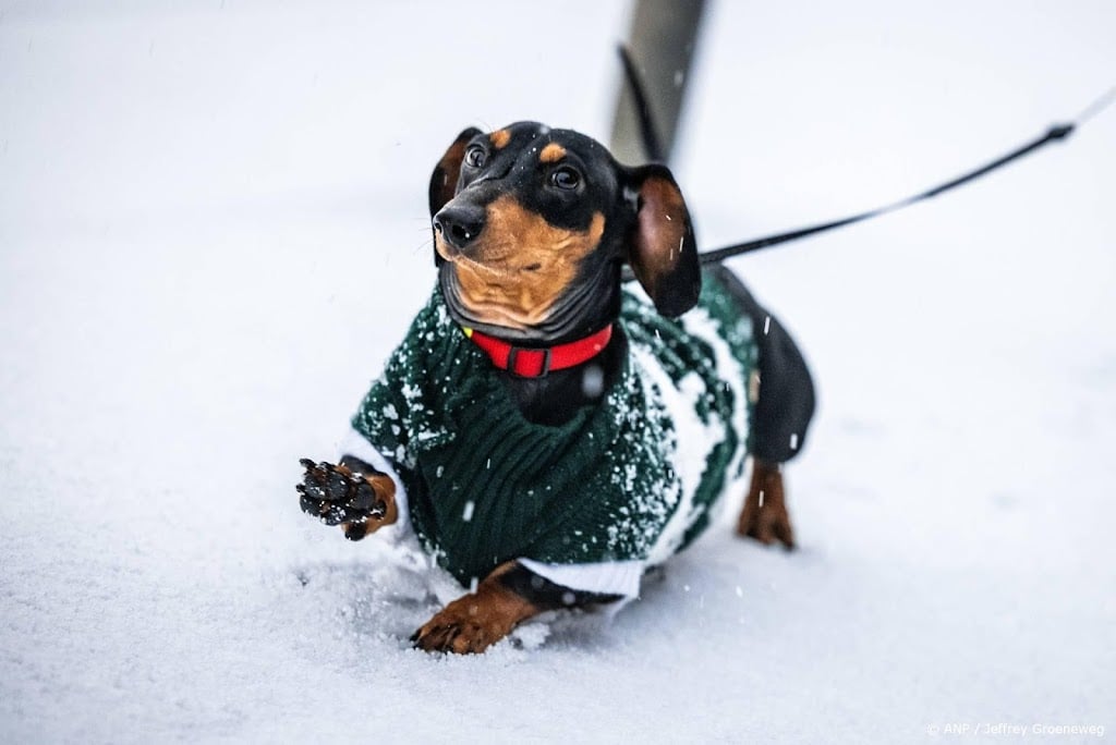 Woensdag code oranje in vrijwel heel Nederland