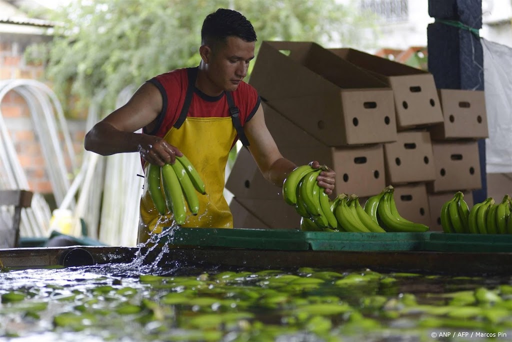 Rusland legt bananenimport uit Ecuador stil na wapendeal met VS