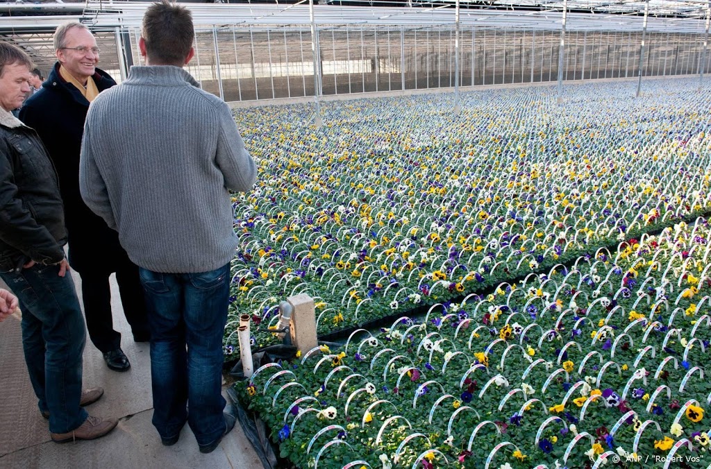 'Overbruggingsregeling werkt niet voor tuinders'