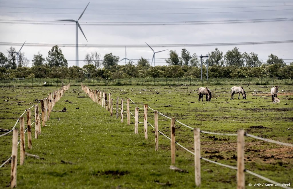 Staatsbosbeheer sluit wandelgebied Oostvaardersplassen om droogte