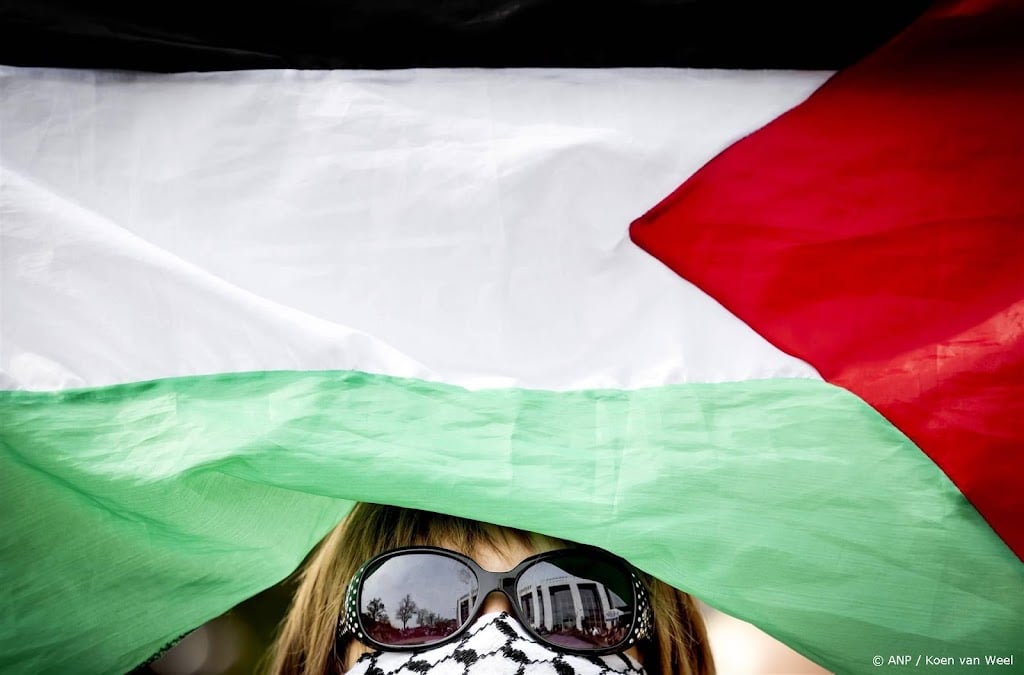 Politie grijpt in bij onrustig pro-Palestijns protest in Den Haag