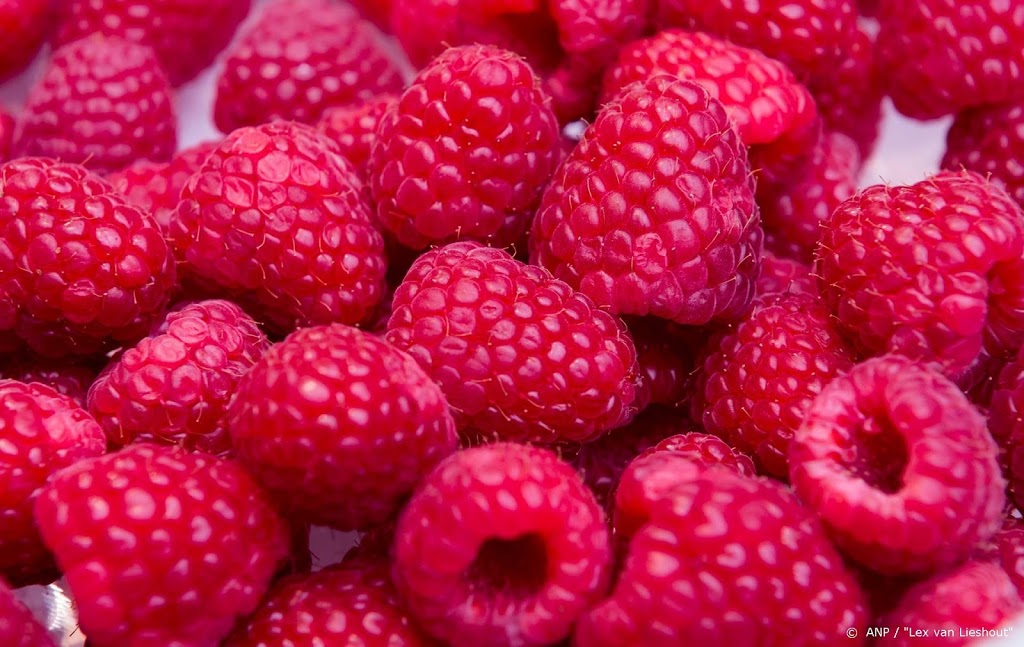 Dertigtal medewerkers van twee fruitbedrijven heeft corona