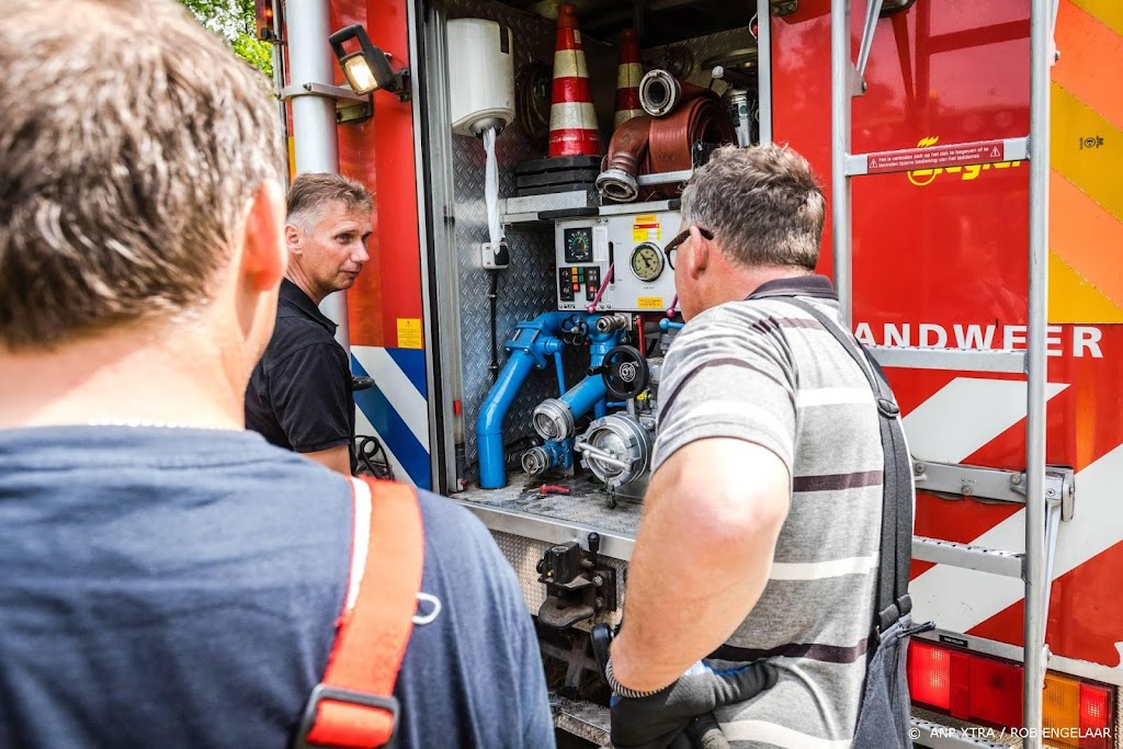 Nieuwe wolvenwelpen gezien op de Veluwe