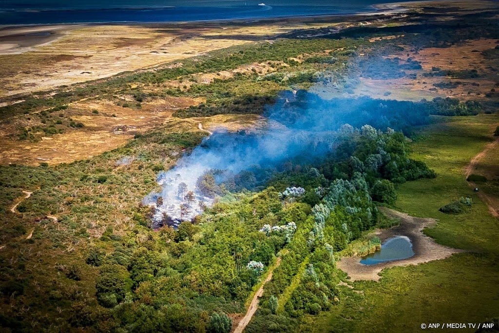 Tweeduizend vierkante meter natuur verwoest bij duinbrand Ouddorp