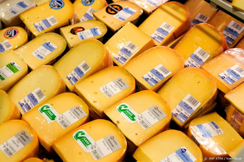 Salmonella in blokjes Goudse Kaas bij Albert Heijn