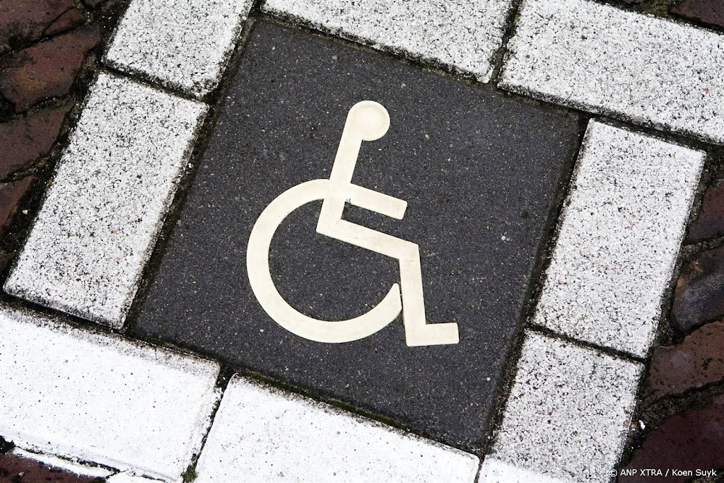 Roep om overal zelfde tarief voor parkeerkaart gehandicapten