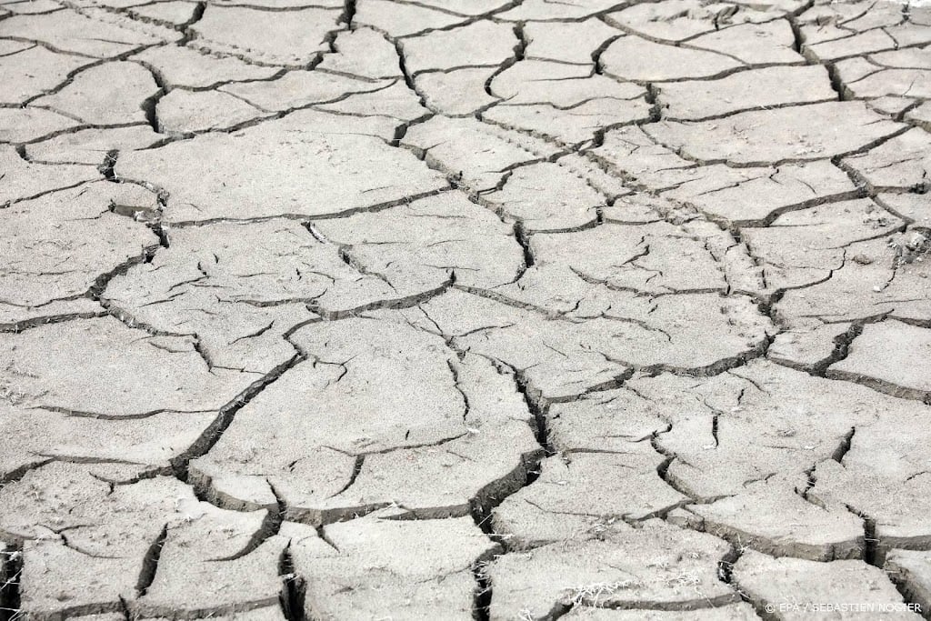 Door klimaatverandering '20 keer zo veel kans' op droge zomers