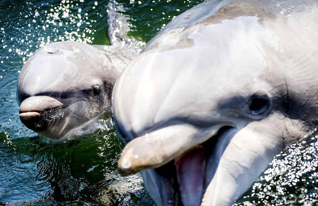 Dwangsommen Dolfinarium om dierenshows van de baan