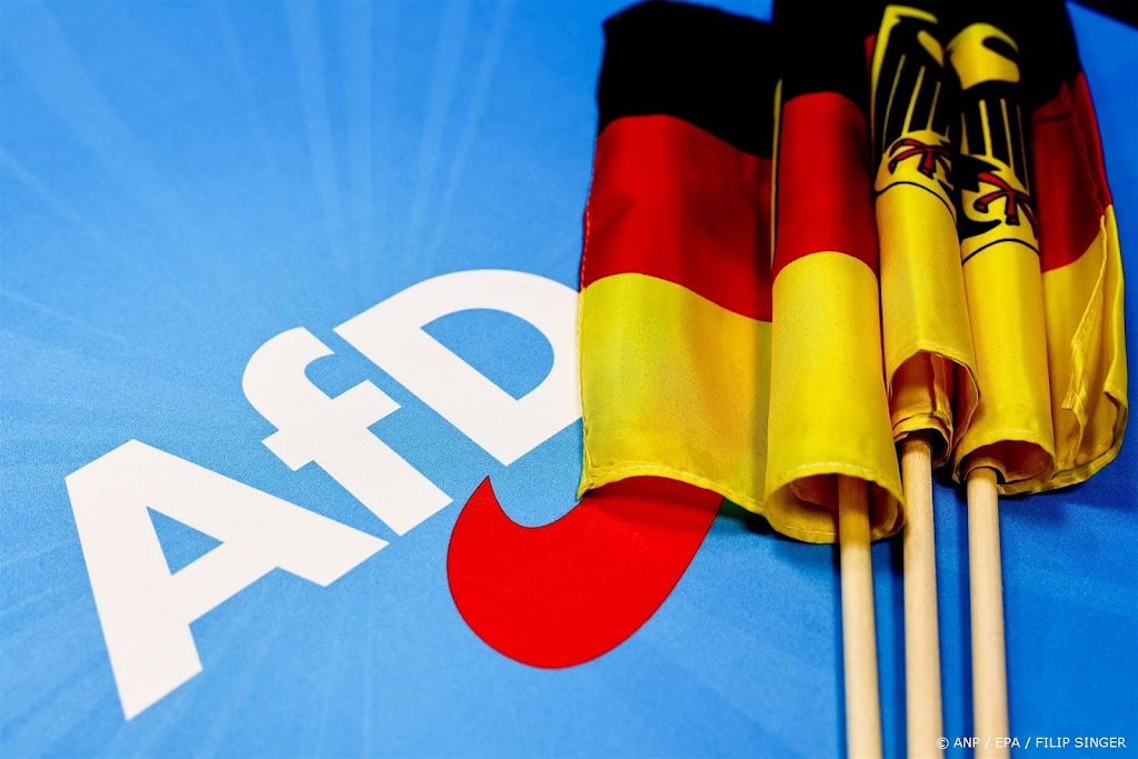 Duitse AfD breekt banden met militante separatisten