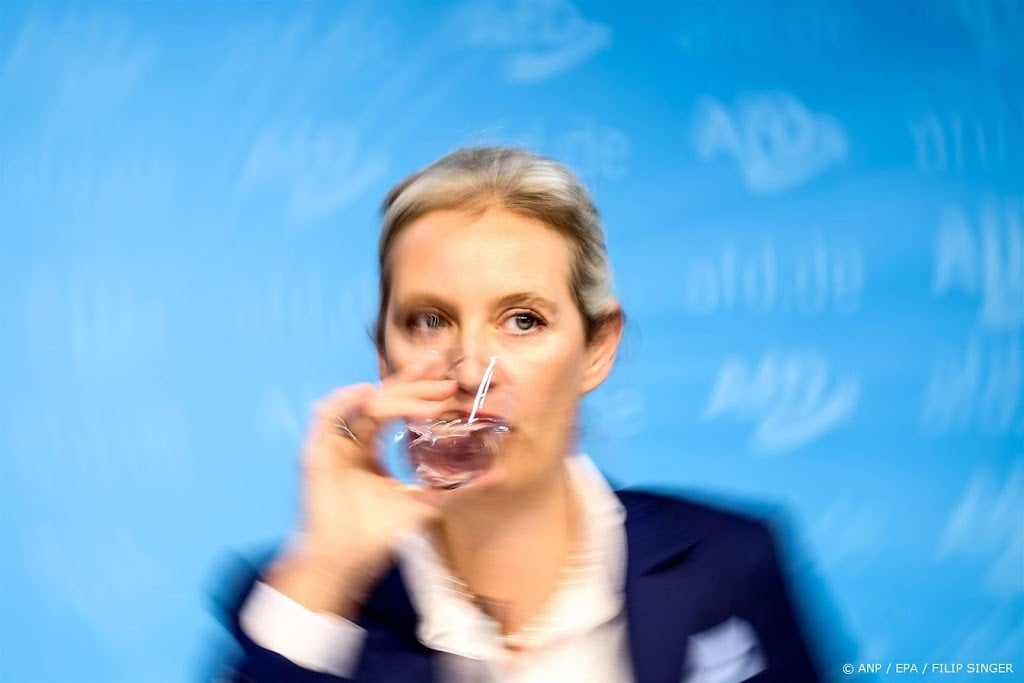 AfD-leider noemt Trump rolmodel voor Duitsland