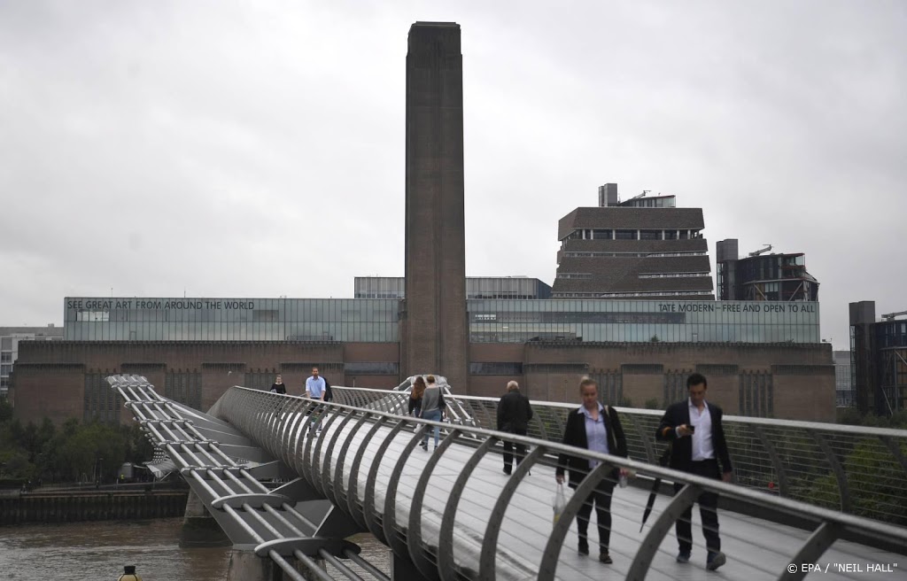 'Britse tiener wilde moord plegen in Tate Modern'