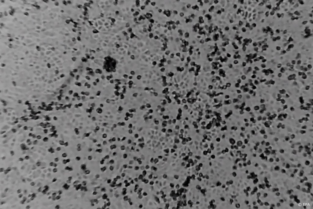 Dodental coronavirus China stijgt tot 717