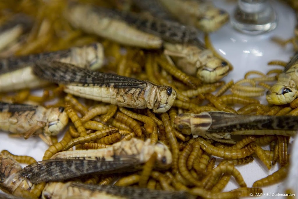 Studie: mensen eten eerder insecten als ze milieuvoordelen kennen