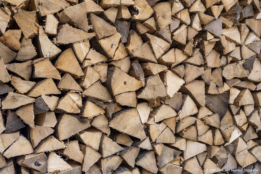 Bijna 1 op de 3 huishoudens zegt meer hout te stoken om gasprijs