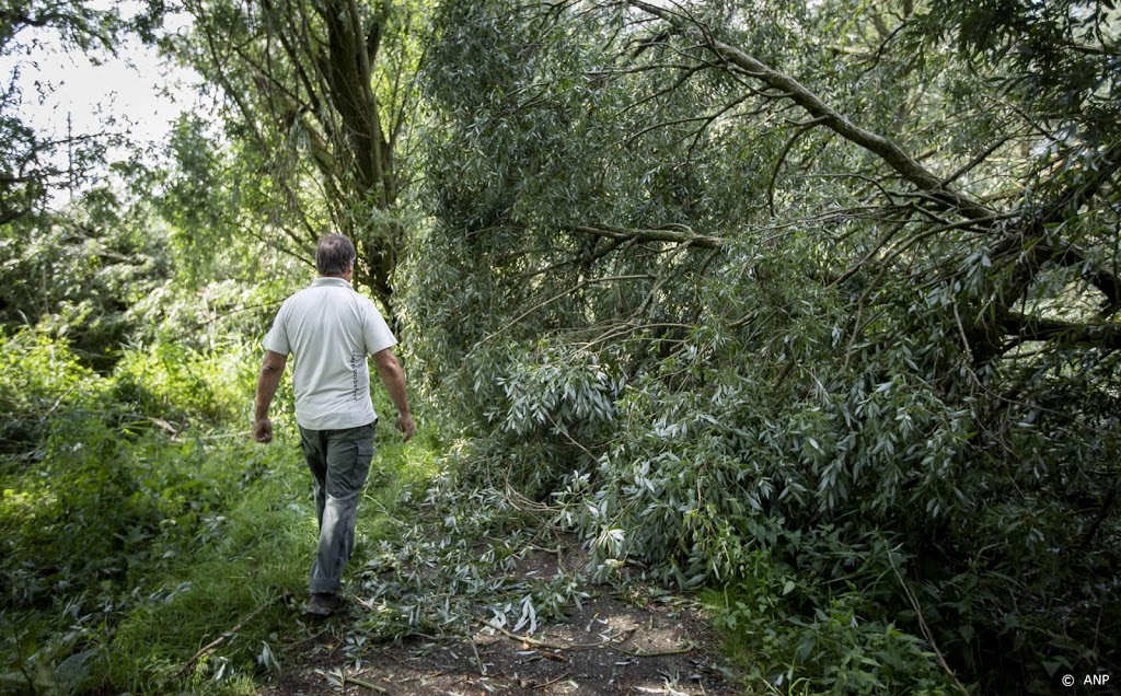 Natuurbeheerders willen rust in de kraamkamer van de natuur