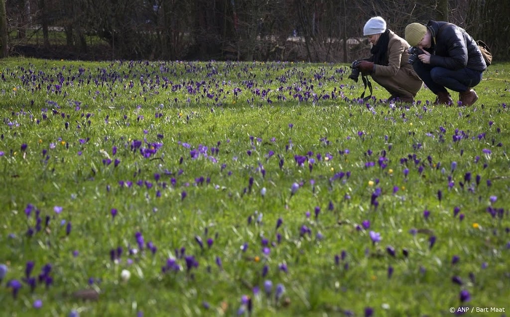 Klimaatdienst: februari is negende maand op rij met warmterecord