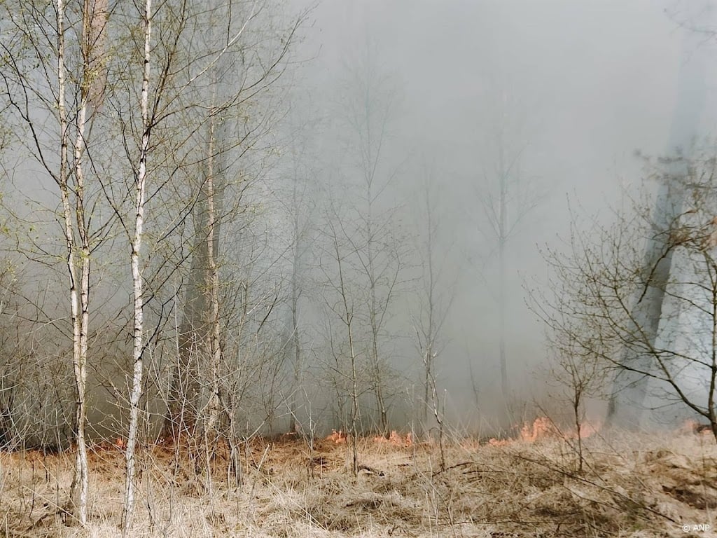 Brand in De Meinweg onder controle